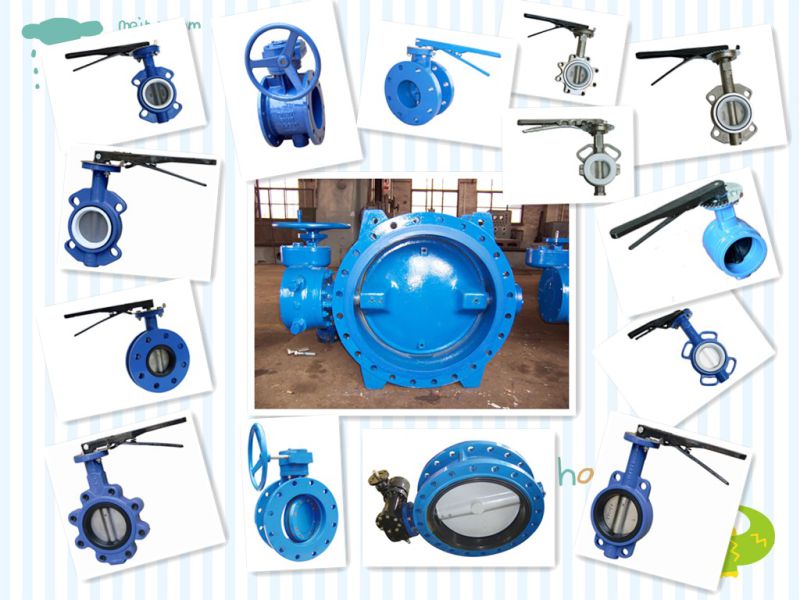 Wafer Lug Type Butterfly Valve, Gear Box Operator