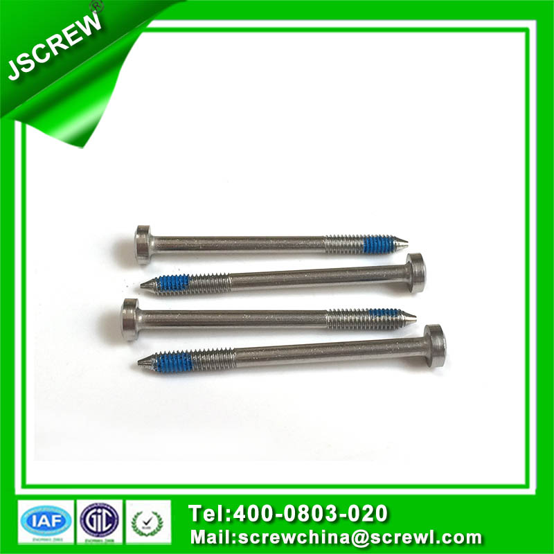 Customized M3 Self Tapping Stainless Steel Screw