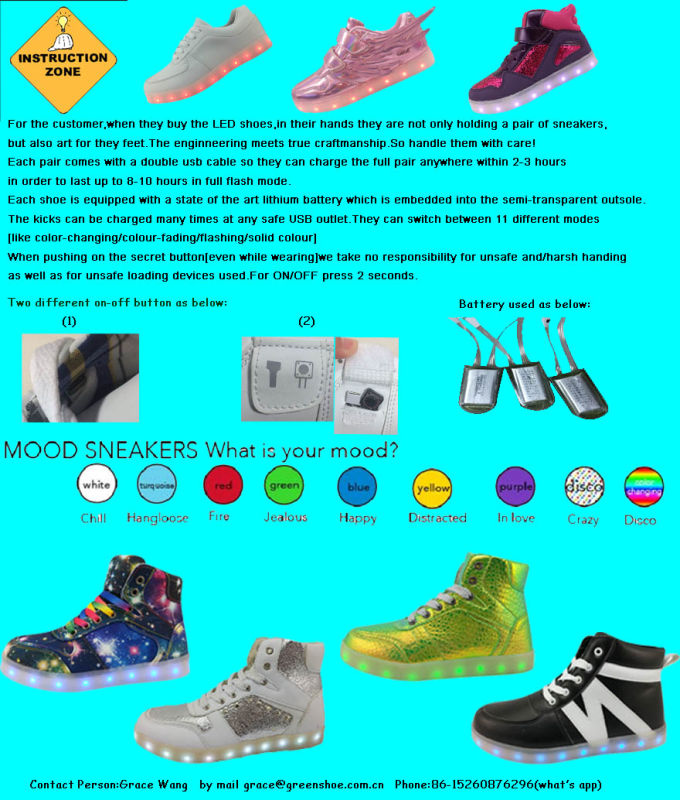 Good Sellilng Light up Shoes From China Factory (GS-75265)