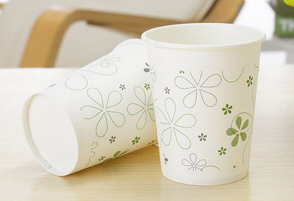 8oz/12oz Disposable Single Wall Cup, Party Series Paper Cup