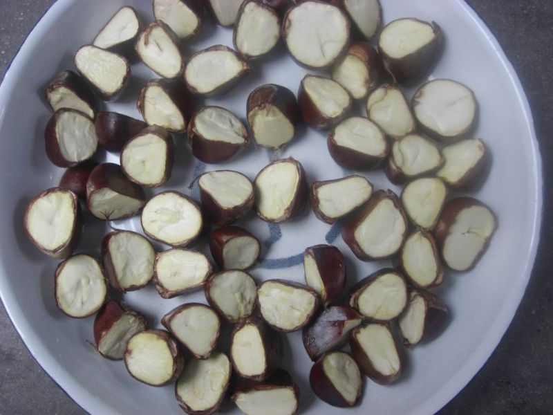 New Crop Fresh Chestnut