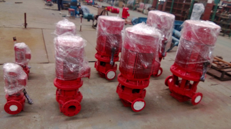 Vertical Single Stage Hot and Cold Water Pipe Line Pump