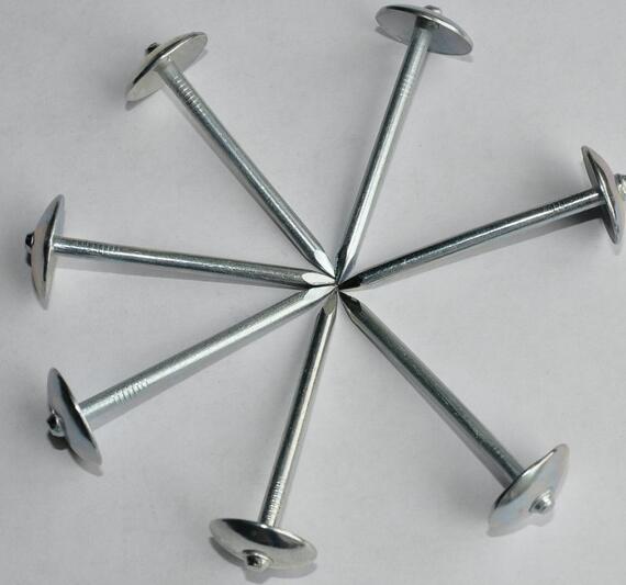 Direct Factory Galvanized Roofing Nails with Umbrella Head