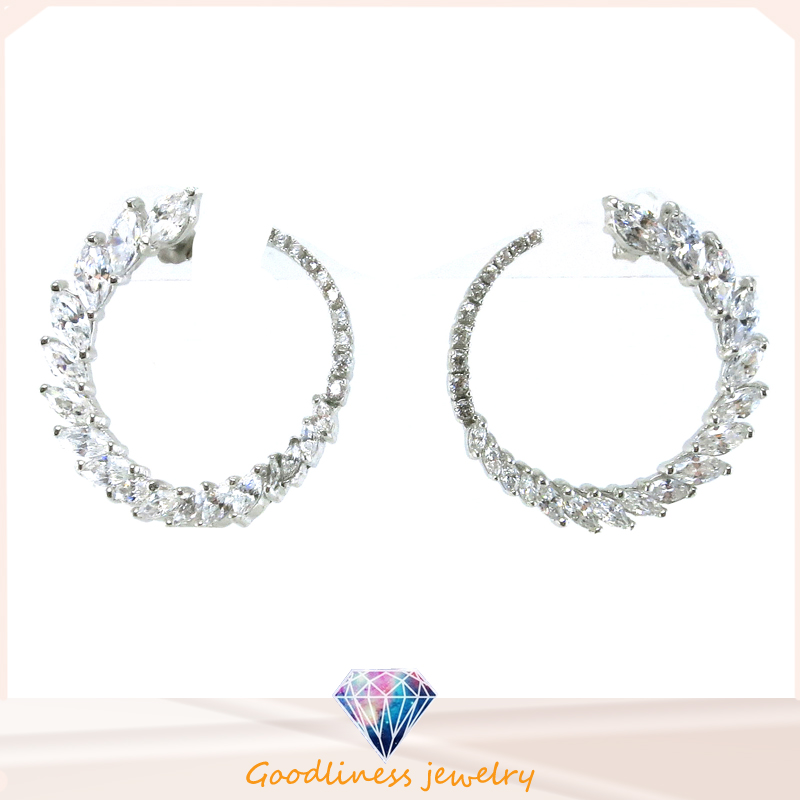 Good Quality Fashion Jewelry Woman Earring (E6455)