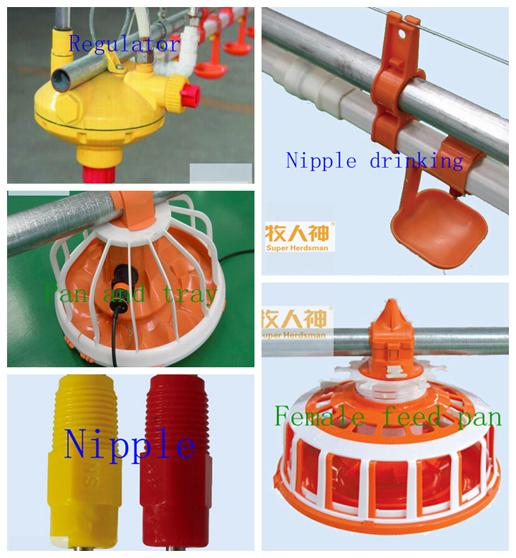 Poultry House Equipment with Good Quality From China Manufacturer