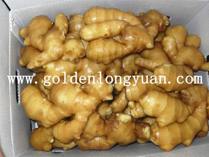 Fresh Ginger Packed with PVC Carton