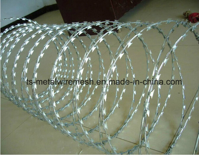 Hot-Dipped Galvanized Steel Razor Barbed Wire