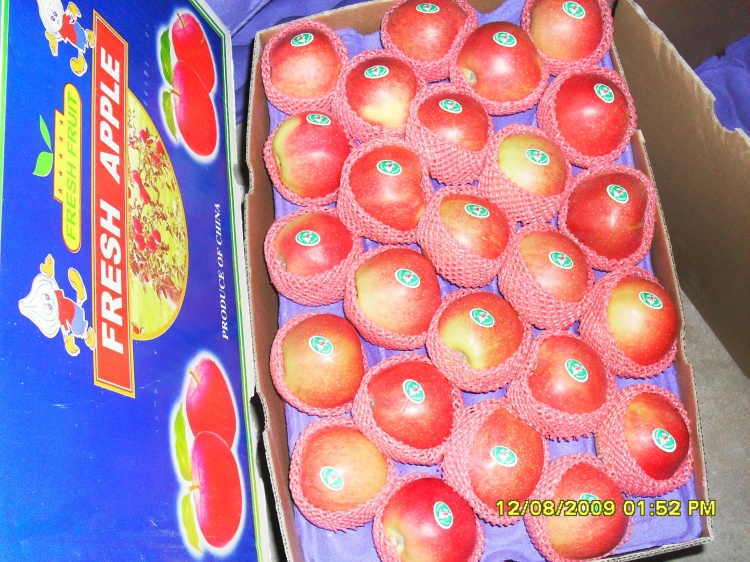 Small Size (150-216#) Red Gala Apple for Bangladesh Market