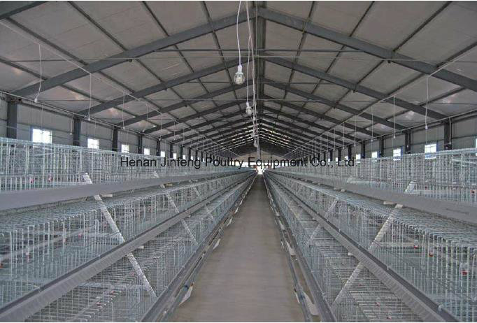 Cheap Automatic Poultry Equipment Broiler Chciken Cage Frame for Farm Use