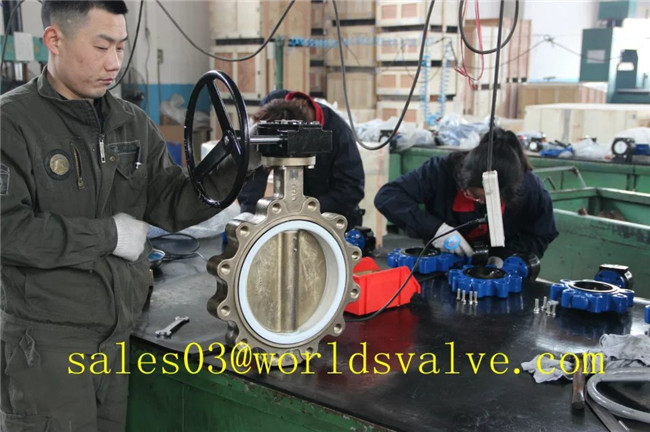 C95400 Lug Butterfly Valve (D71X-10/16)