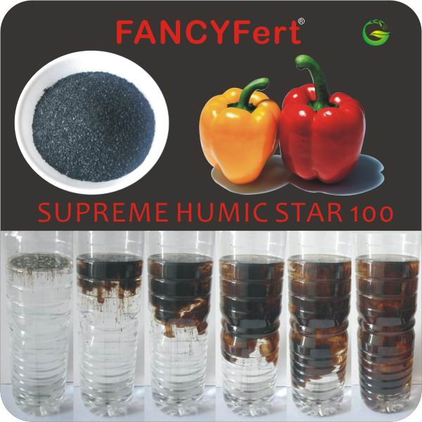 85-100% Soluble Potassium Humate