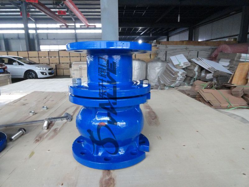 DIN Pn16 Cast Iron Silent Check Valve