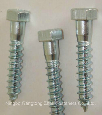 M6-M56 of Steel Roofing Screw Self Drilling Screw (DRI001)