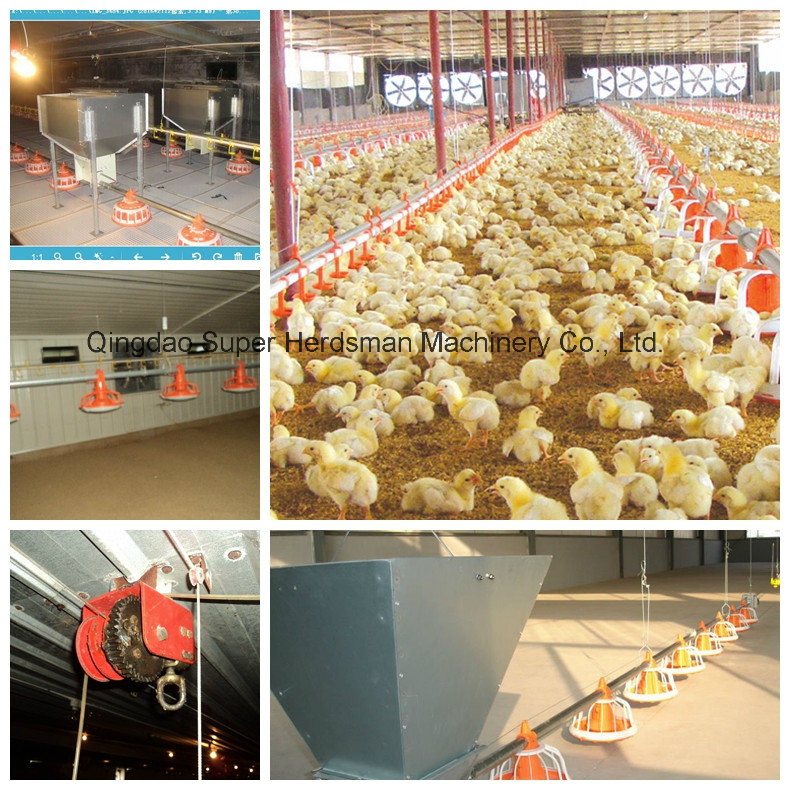 Automatic Poultry Farm Nipple Drinking Equipment for Poultry Farming House