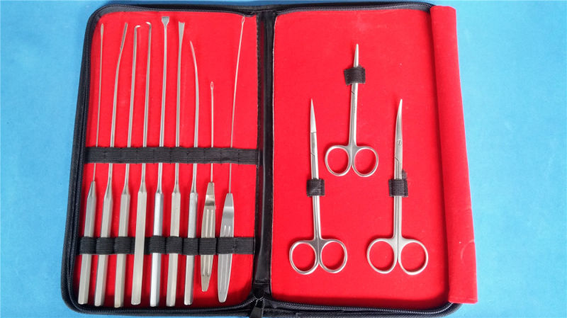 Rhytidectomy Facelift Surgical Instrument Set