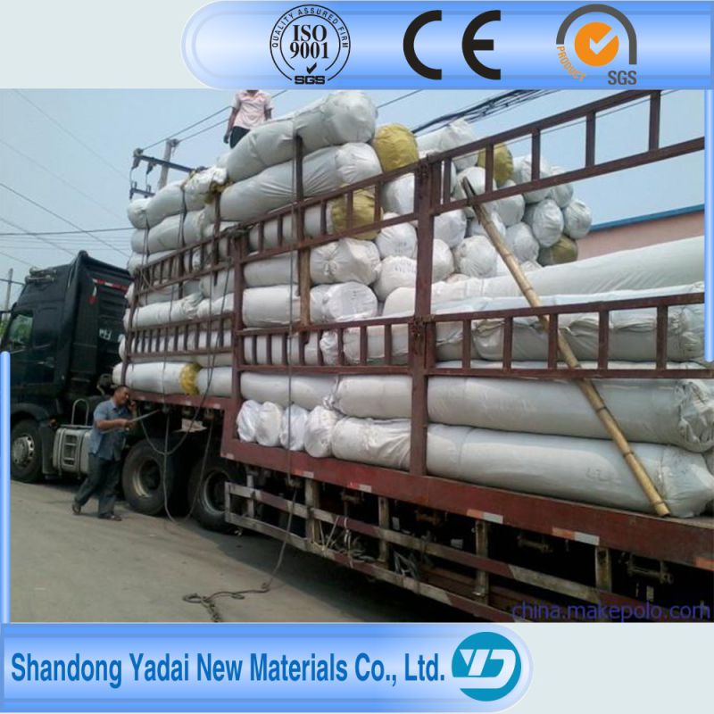 PP Woven Geotextiles by Professional Factory in China Geotextile Nonwoven