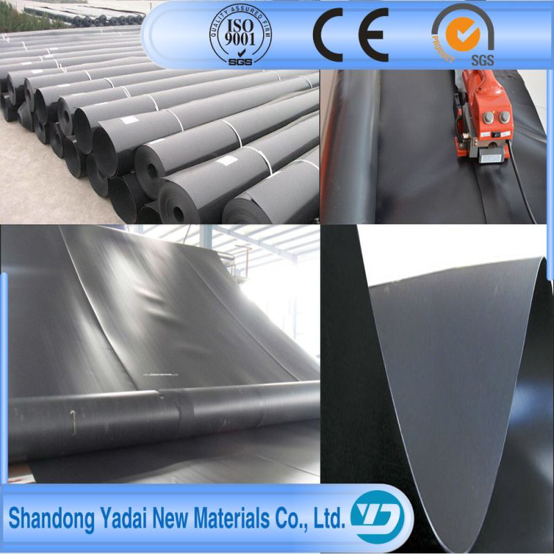 Agriculture Outside Waterproofing Pond Liner Fish Plastic Tank Geomembrane for Sale