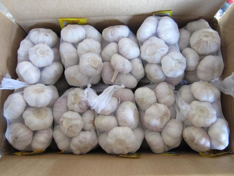 Chinese Fresh White Garlic with Small Packing