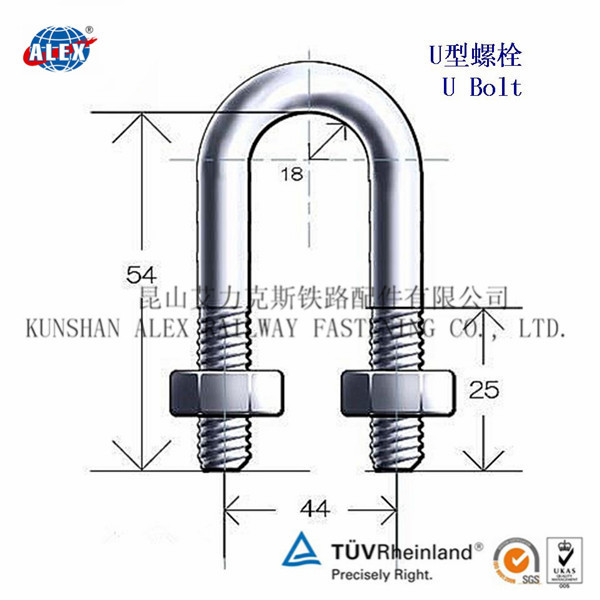 Special Fastener U Anchor Bolt with HDG Surface