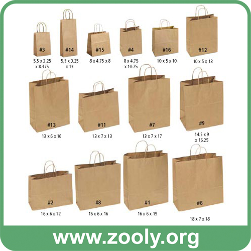 Eco-Friendly Natural Brown Kraft Paper Shopping Gift Bags with Twisted Paper Handles