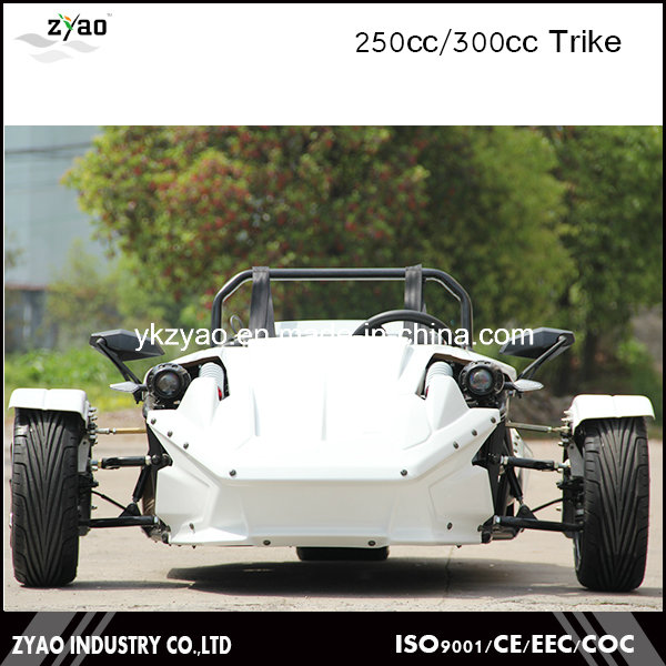 EEC 3 Wheel Motorcycle 250cc Racing Trike