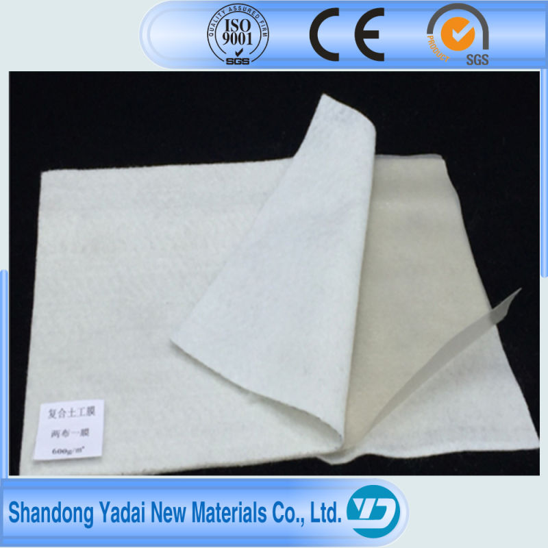 HDPE LDPE Geocomposite Geomembrane for Fish Pond/Domestic Waste Landfill