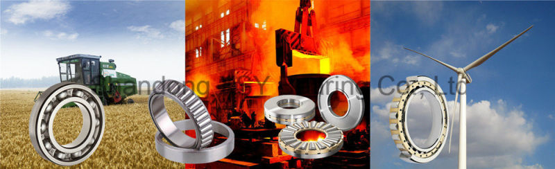 Factory Price Cylindrical Roller Bearing N222 with High Quality