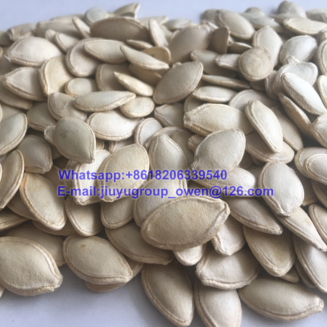 HPS Confectionary Grade Snow White Pumpkin Seeds