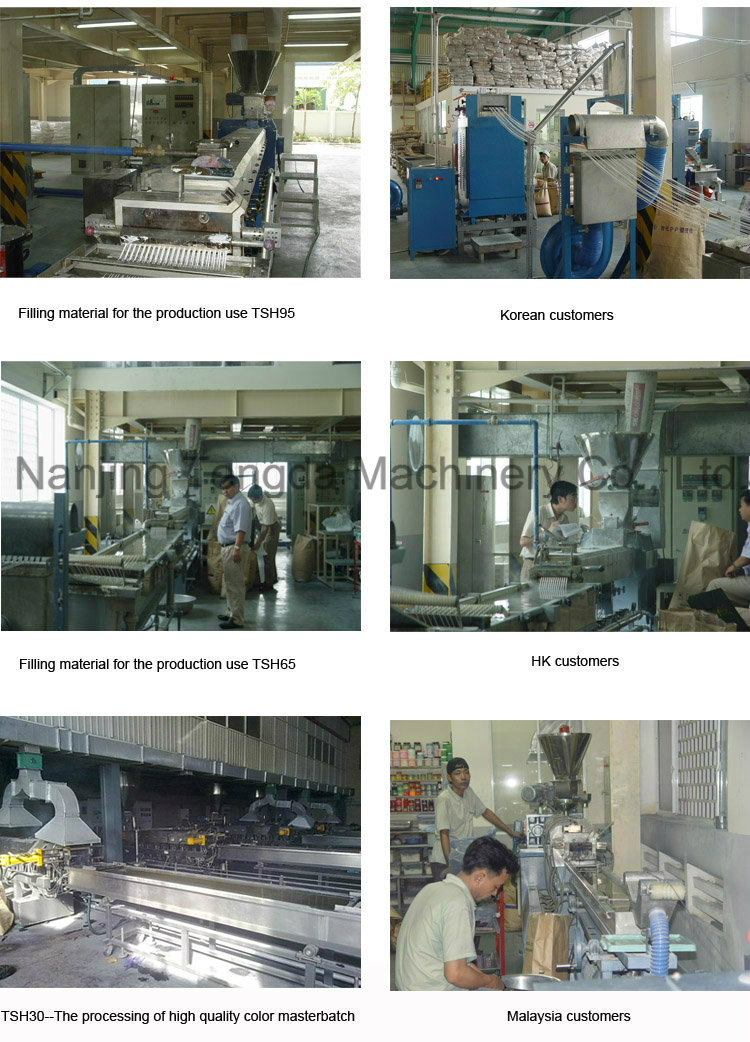 High Performance Twin Screw Extruder From Manufacturing