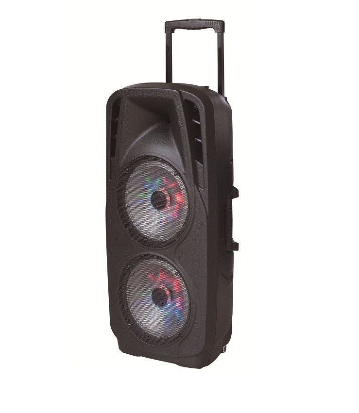 2X10inches Bass Professional Stage Speaker with LED 80W High Power F73D