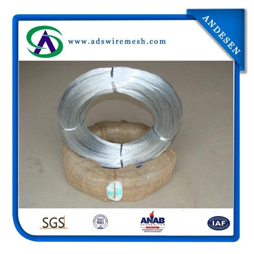 Small Coil Electro Galvanzied Iron Wire for Binding