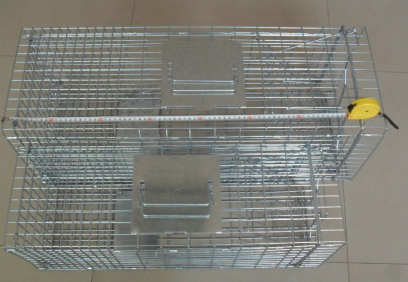 Animal Trap Cage