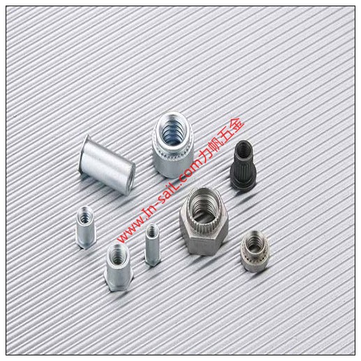 Precision Thread Slotted Insert Nuts