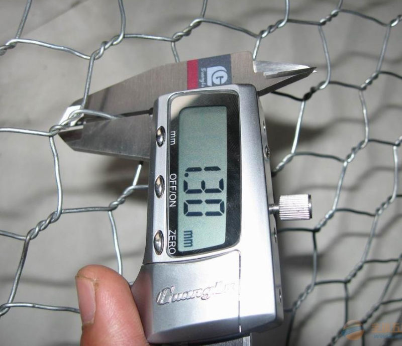 Chicken Wire Mesh, PVC or Hot Dipped Galvanized