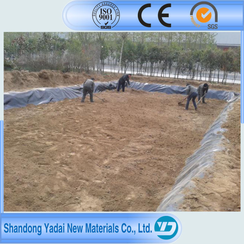 HDPE Waterproofing Geomembrane Membrane for Secondary Containment Liners/Floating Covers/Primary Containment Liners