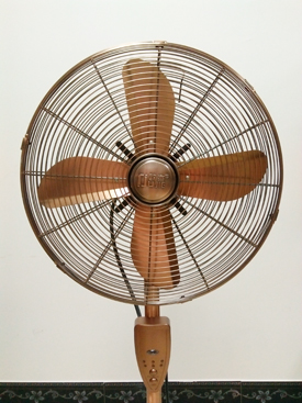 Antique Fan-Fan-Floor Fan