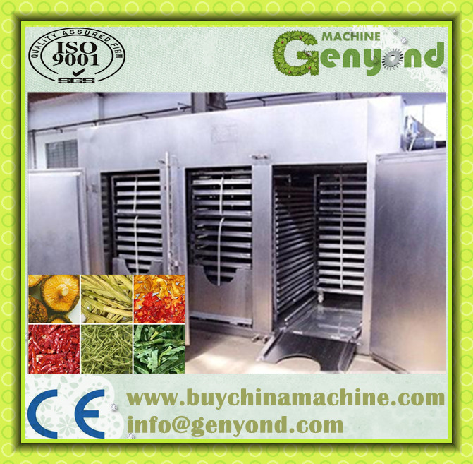 Continuous Vegetable and Fruit Dehydrator Machine