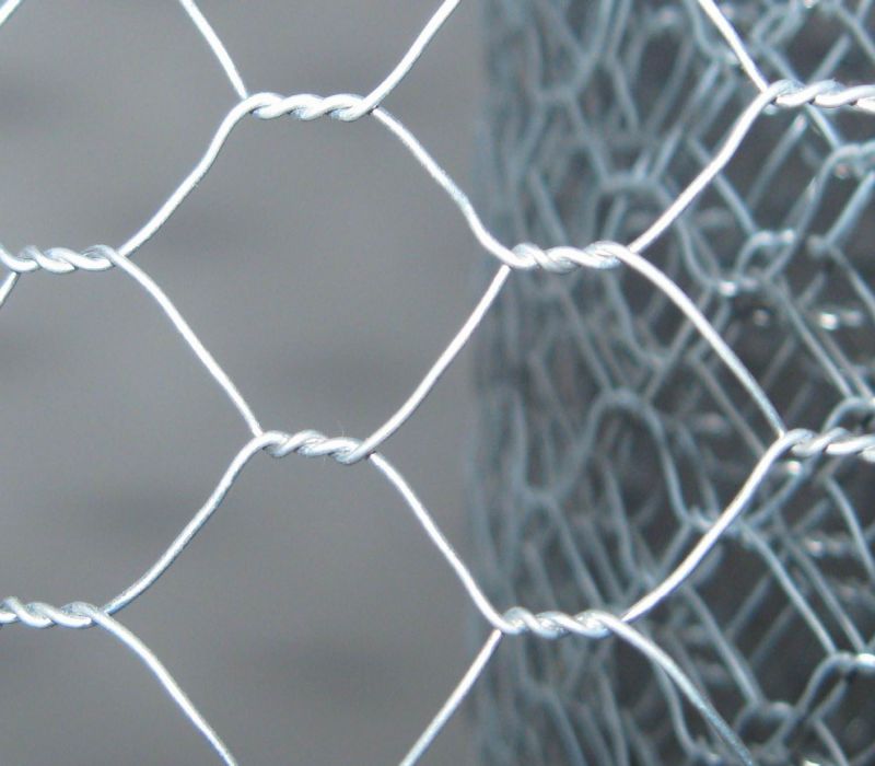 Hexgaonal Wire Mesh/Stucco Mesh