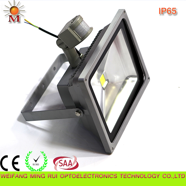 Ce/RoHS/SAA /Water Proof/ 50W LED Flood Light with Motion Sensor