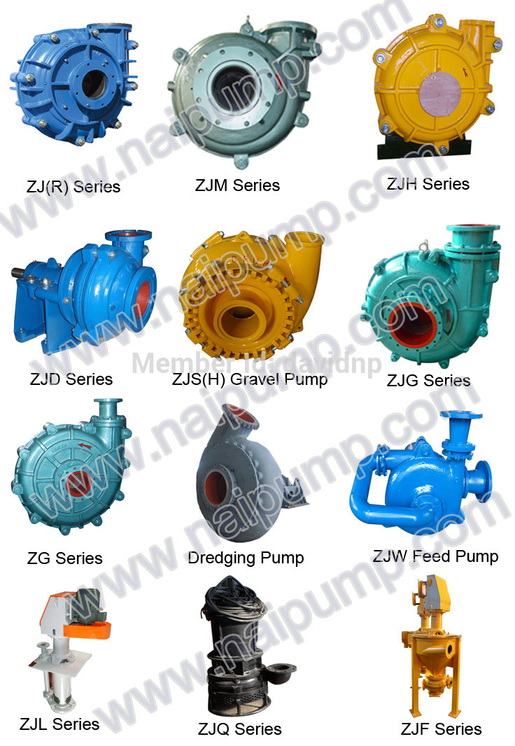 Shijiazhuang Pump Factory OEM Heavy Duty Copper Mining Processing 10X8 Slurry Pump