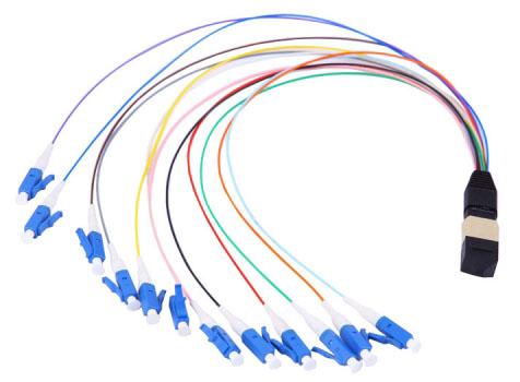 MPO/LC Patch Cord 12 Fiber Patchcord