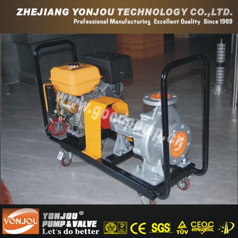 Thermal Oil Circulation Pump for 370 Degree