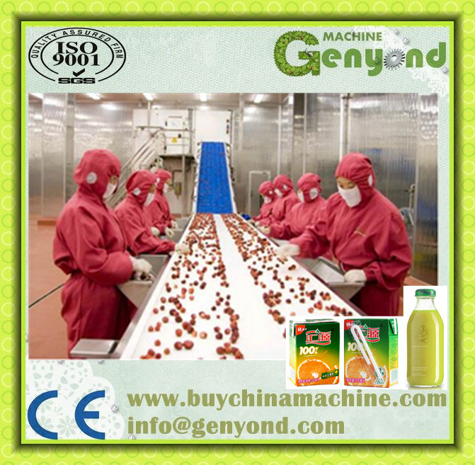 Turnkey Project Orange Apple Juice Processing Plant