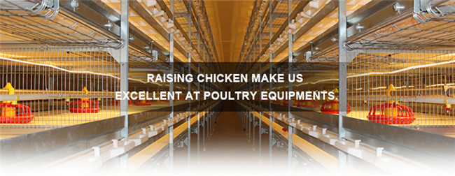 H Type Broiler Cage System