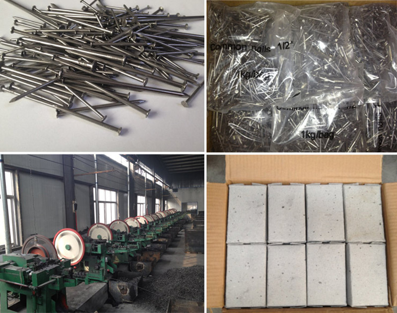 Factory Price Common Nail/ Iron Nail