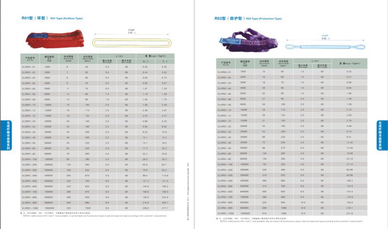 Sln Polyester Round Sling Endless Type