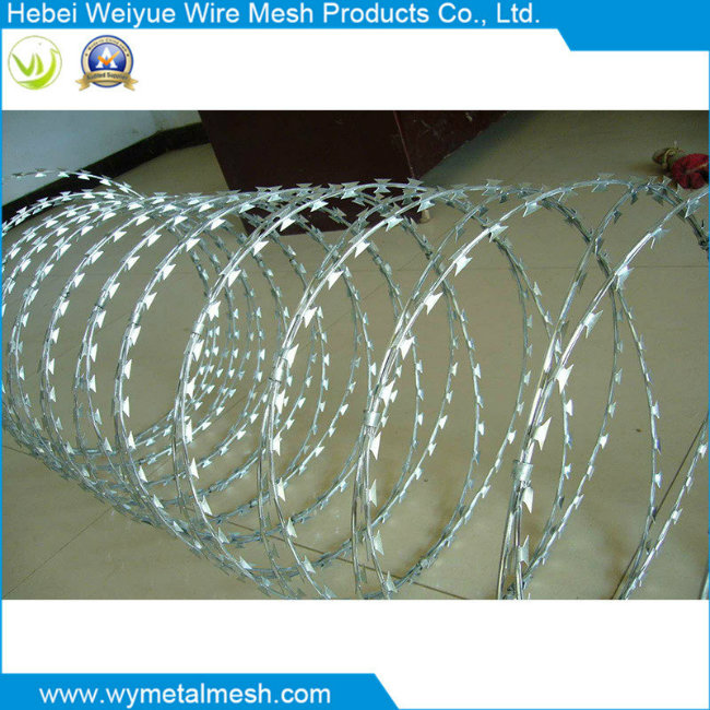 Supplier of Razor Barbed Wire for Security Fence