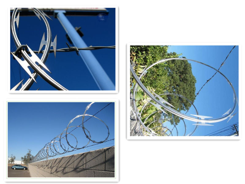 Top Quality Razor Barbed Wire (Factory Price)