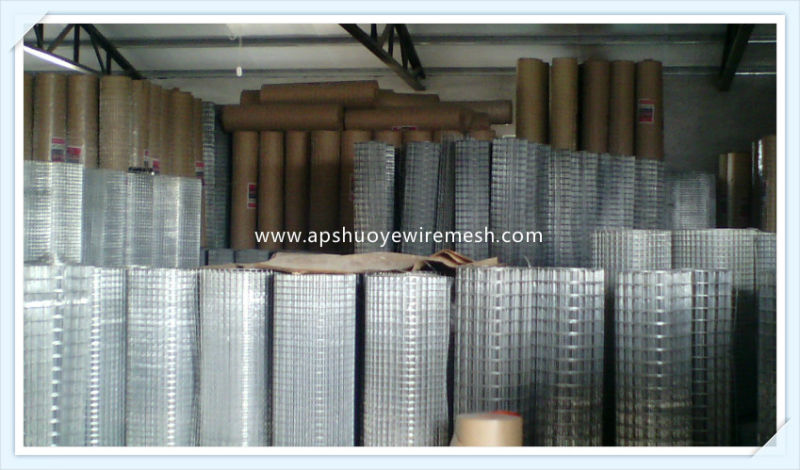 Welded Wire Mesh for Garden Fence