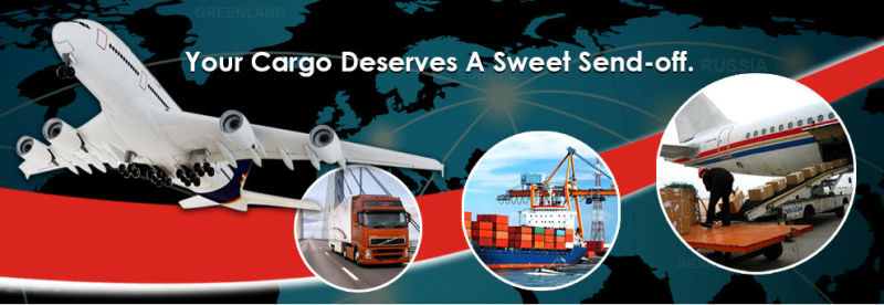 Sea&Air Forwarder Agent/ Freight Forwarder From China to Worldwide